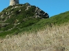 Tour de la Parata(Genovese tower)